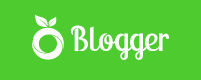 website logo